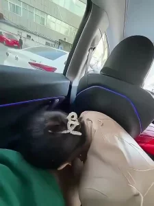 试驾送口爆，让你射一路试驾送口爆，让你射一-路