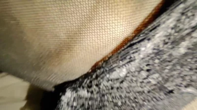 后入爆操如皋情人炮友2