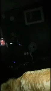 可爱的女大学生在宿舍给男友吹大鸡巴