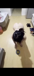训练985硕士母狗爬行喝圣水